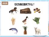 新青岛版科学二年级上册 14.身边的动植物资源 PPT课件