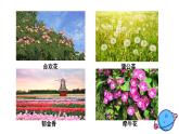 教科版 六年级上册科学 2.7 昼夜和四季变化对生物的影响（课件+视频）