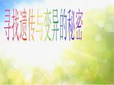 寻找遗传与变异的秘密PPT课件免费下载