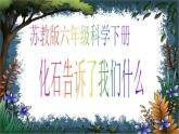 苏教小学科学六下《9.化石告诉我们什么》PPT课件