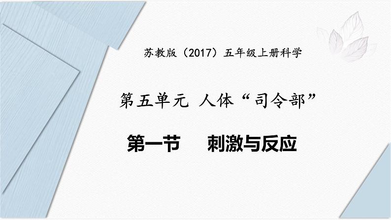 5.17《刺激与反应》 课件第1页