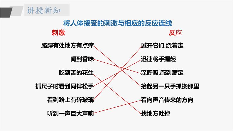 5.17《刺激与反应》 课件第7页