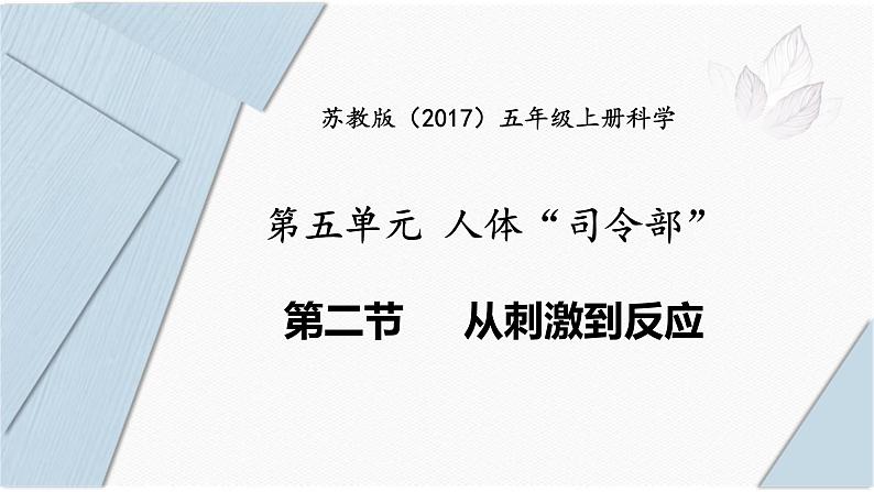 5.18《从刺激到反应》 课件第1页