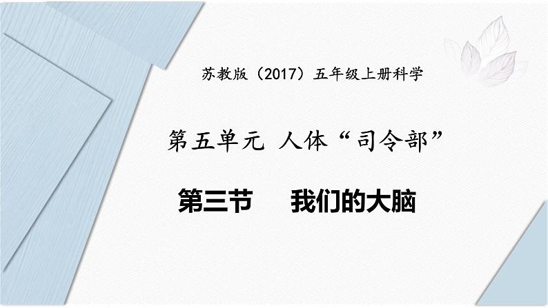 苏教版五年级上册 5.19《我们的大脑》课件+教案+同步练习01