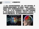 苏教版五年级上册 5.19《我们的大脑》课件+教案+同步练习