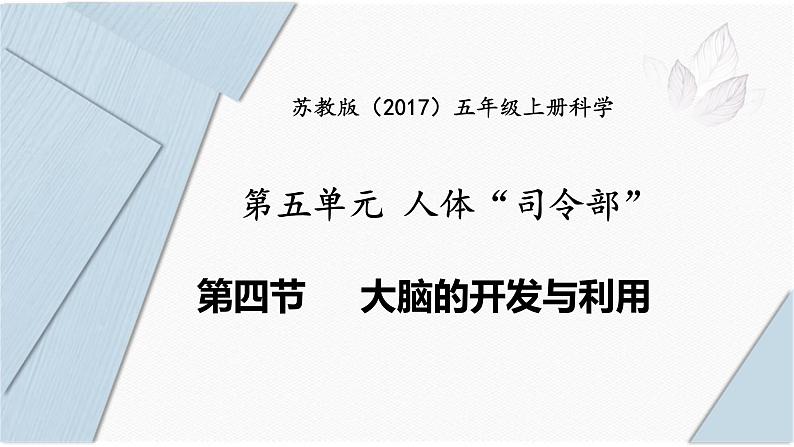 苏教版五年级上册 5.20《大脑的开发与利用》课件+教案+同步练习01