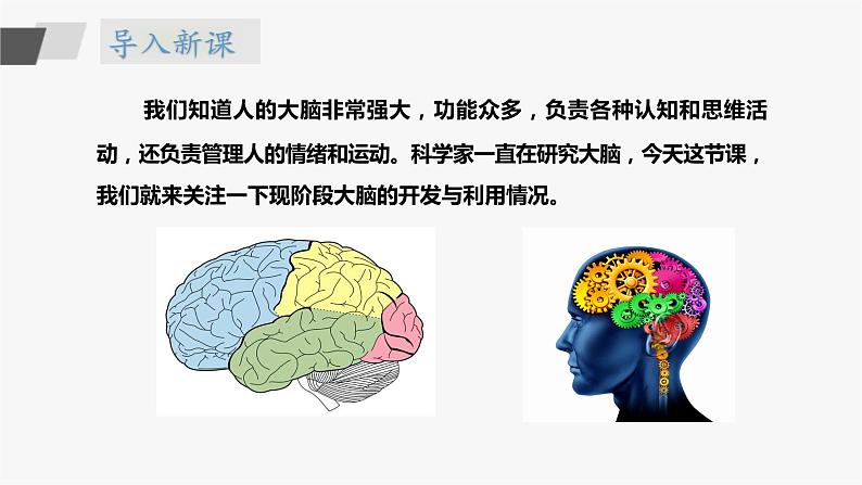 苏教版五年级上册 5.20《大脑的开发与利用》课件+教案+同步练习03