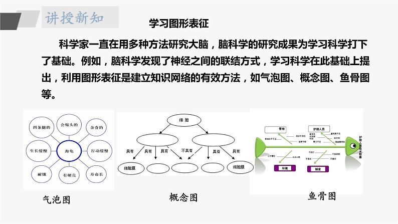 苏教版五年级上册 5.20《大脑的开发与利用》课件+教案+同步练习04