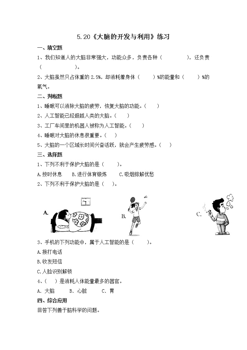 苏教版五年级上册 5.20《大脑的开发与利用》课件+教案+同步练习01