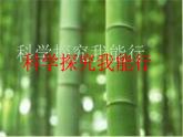 苏教小学科学五下《5.1．大脑》PPT课件