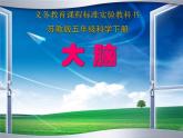 苏教小学科学五下《5.1．大脑》 说课课件