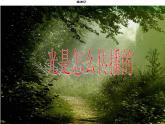 教科小学科学五上《2.3、光是怎样传播的》PPT课件(6)