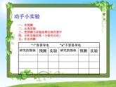 冀教小學(xué)科學(xué)三下冊優(yōu)質(zhì)公開課《13導(dǎo)體和絕緣體 》PTT課件