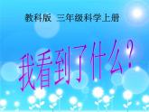 教科小学科学三上《1.1.我看到了什么》PPT课件