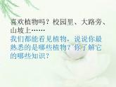 教科小学科学三上《1.1.我看到了什么》PPT课件