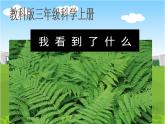教科小学科学三上《1.1.我看到了什么》PPT课件
