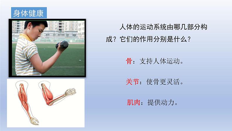 小学科学教科版五年级上册第四单元《健康生活》复习课件第6页