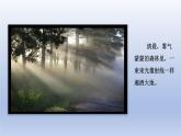 光的传播会遇到阻碍吗PPT课件免费下载