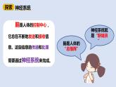 教科版 (2017)  五年级上册 5.身体的“联络员”（ 课件+教学设计+实验单）