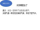 教科版 (2017)  科學三年級上冊  《第一單元復習》課件