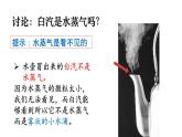 教科版 (2017)  科學三年級上冊  《第一單元復習》課件
