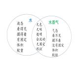 教科版 (2017)  科學三年級上冊  《第一單元復習》課件