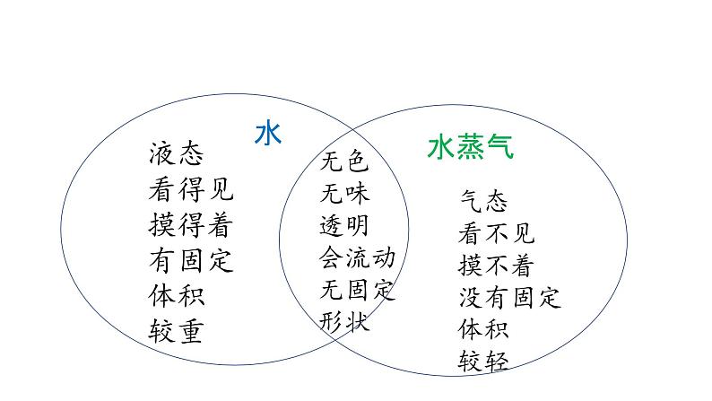 教科版 (2017)  科学三年级上册  《第一单元复习》课件第4页