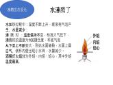 教科版 (2017)  科學三年級上冊  《第一單元復習》課件