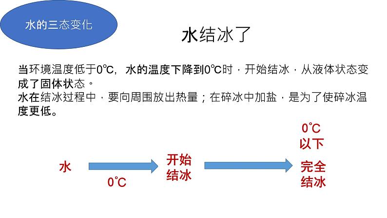 教科版 (2017)  科学三年级上册  《第一单元复习》课件第6页