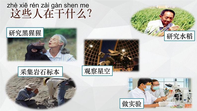 苏教版 (2017)  科学一年级上册  1.小小科学家 课件04