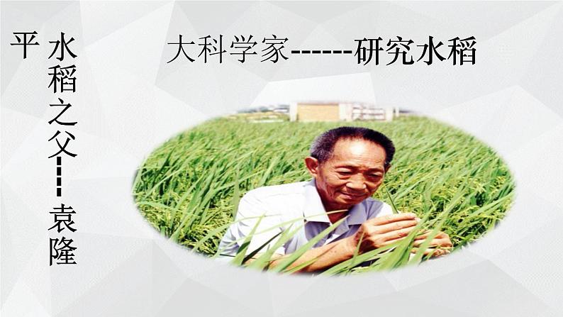 苏教版 (2017)  科学一年级上册  1.小小科学家 课件06