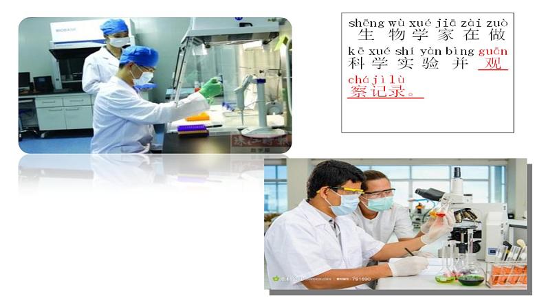 苏教版 (2017)  科学一年级上册  1.小小科学家 课件08