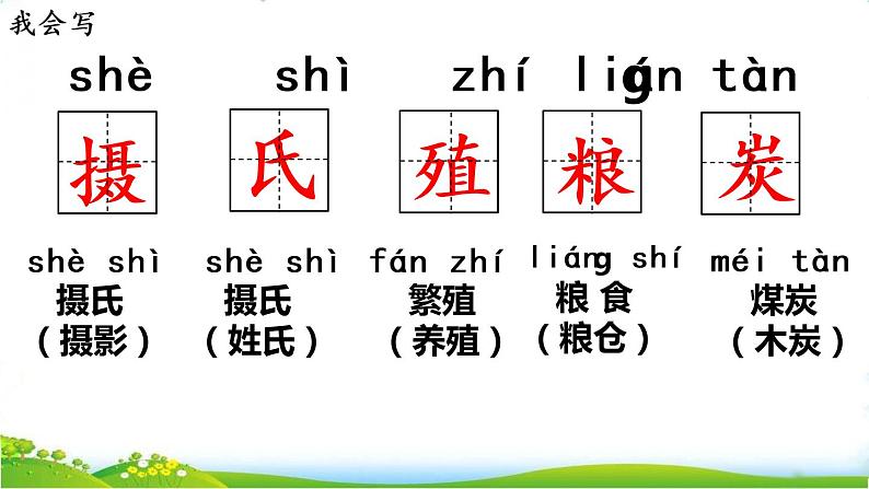 苏教版 (2017)  科学四年级下册  7、太阳 课件第8页