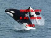 1.4 《哺乳類》課件