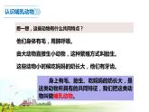 1.4 《哺乳類》課件