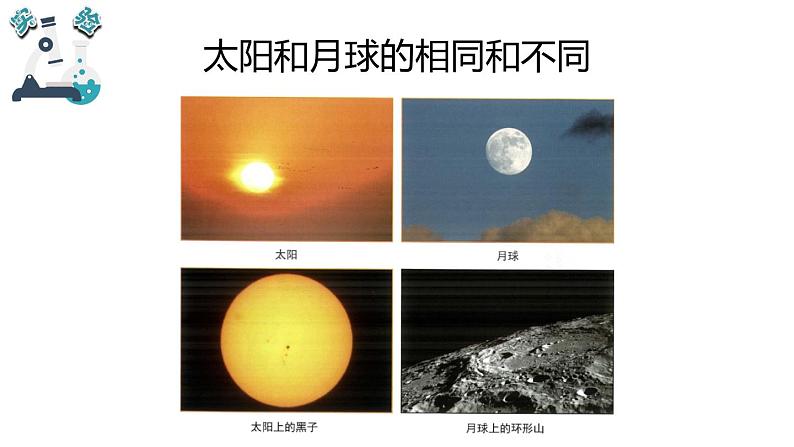 教科版科学 三年级下册 3.1仰望天空 课件04