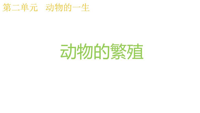 教科版科学 三年级下册 2.7动物的繁殖 课件01