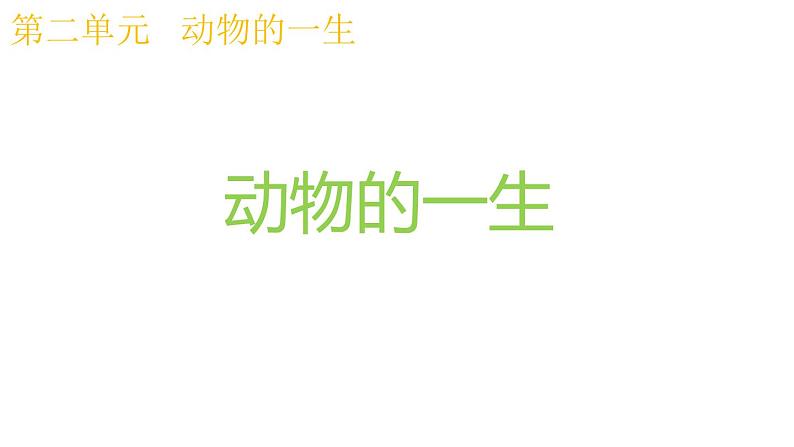 教科版科学 三年级下册 2.8动物的一生 课件第1页