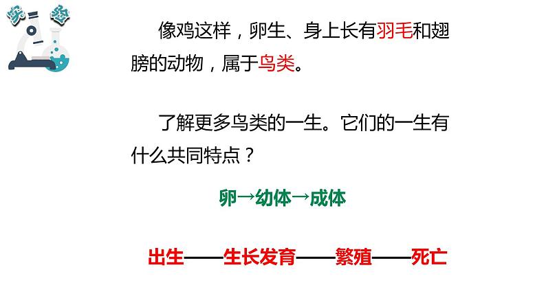 教科版科学 三年级下册 2.8动物的一生 课件第5页