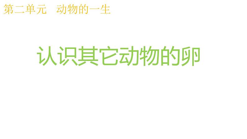 教科版科学 三年级下册 2.2认识其它动物的卵 课件第1页