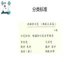 教科版科学 三年级下册 2.2认识其它动物的卵 课件