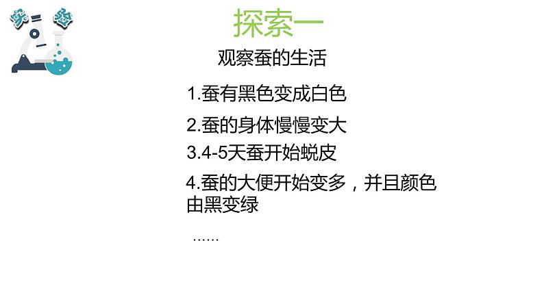 教科版科学 三年级下册 2.3蚕长大了 课件第4页