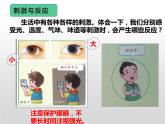 湘科版科学五年级上册 1.1人体对刺激的反应（课件）