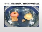 湘科版科学五年级上册 2.1谁浮谁沉（课件）