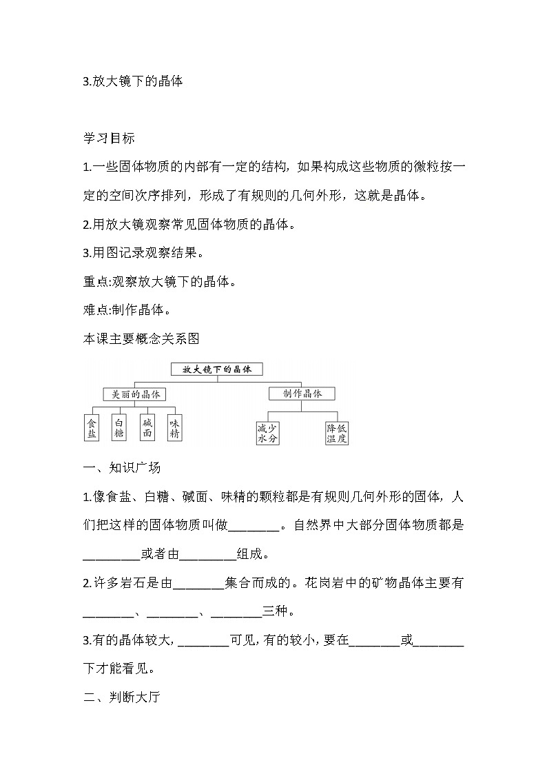 六年级下册科学导学精炼-1 3 放大镜下的晶体 教科版（含答案）练习题01