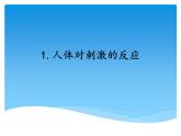 湘科版五年级科学上册1.1人体对刺激的反应（课件）