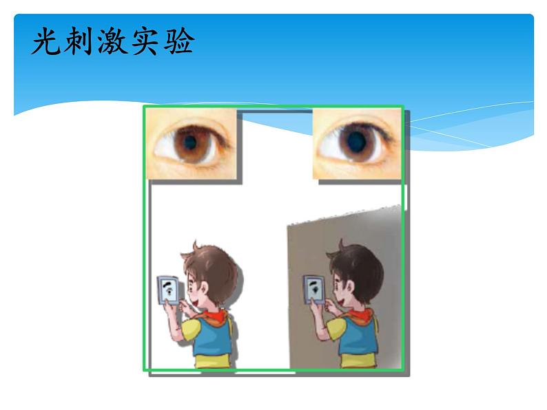 湘科版五年级科学上册1.1人体对刺激的反应（课件）04