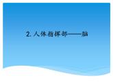 湘科版五年级科学上册1.2人体指挥部—脑(课件）