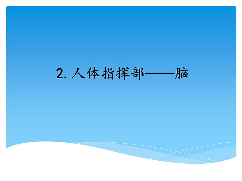 湘科版五年级科学上册1.2人体指挥部—脑(课件）01