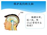 湘科版五年级科学上册1.3保护我们的脑（课件）